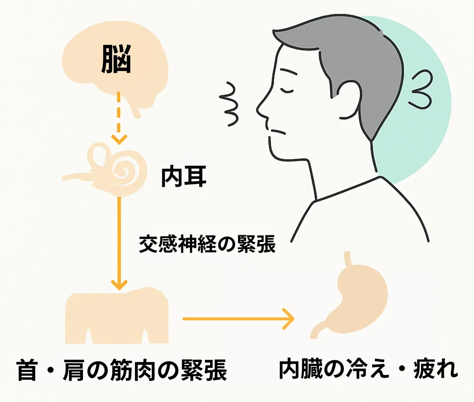 脳・内耳・交感神経のつながりと圧力バランスの乱れによる自律神経症状のメカニズム図