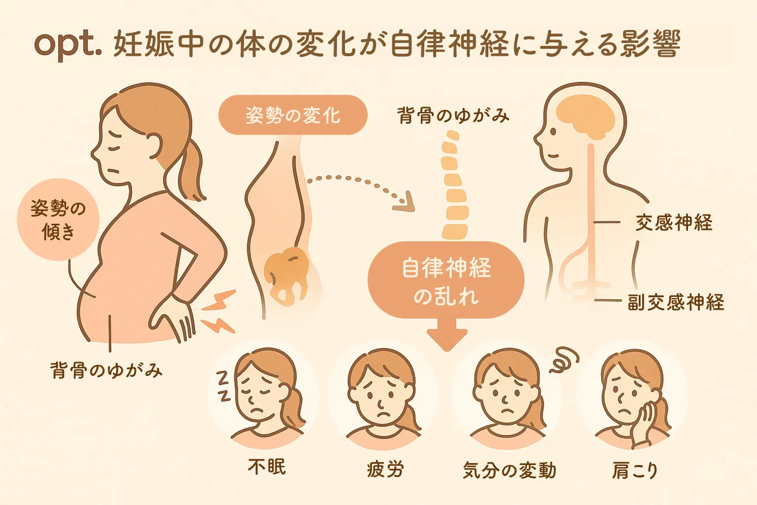妊娠中の姿勢変化と自律神経の関係図解